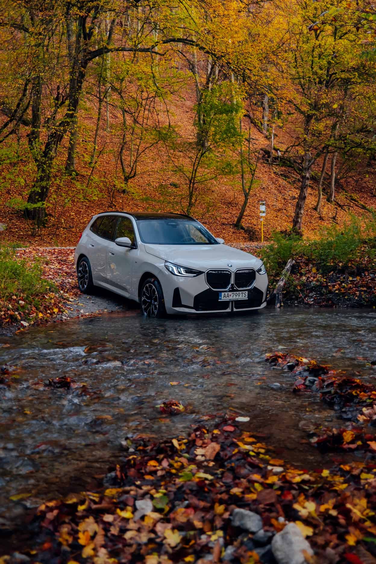 2025 BMW X3 Gets Dune Grey Paint And M Sport Package