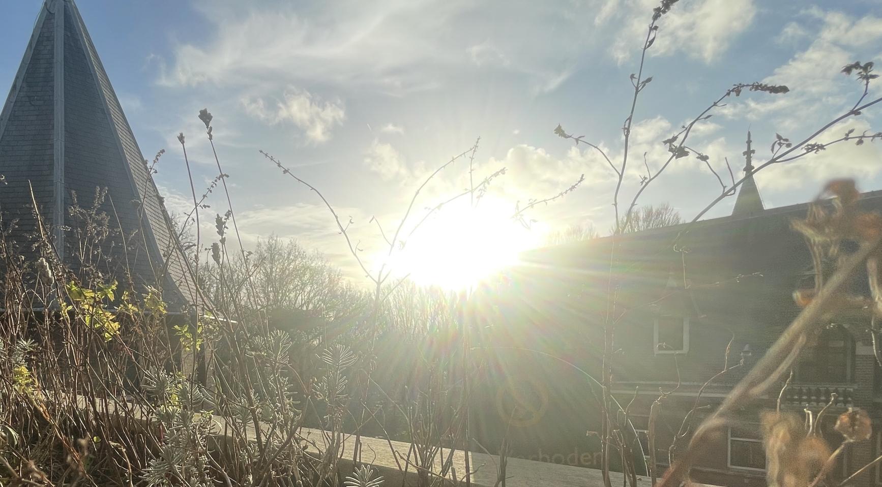 Sun shines in the Netherlands for the first time in 11 days; longest wait since 1990