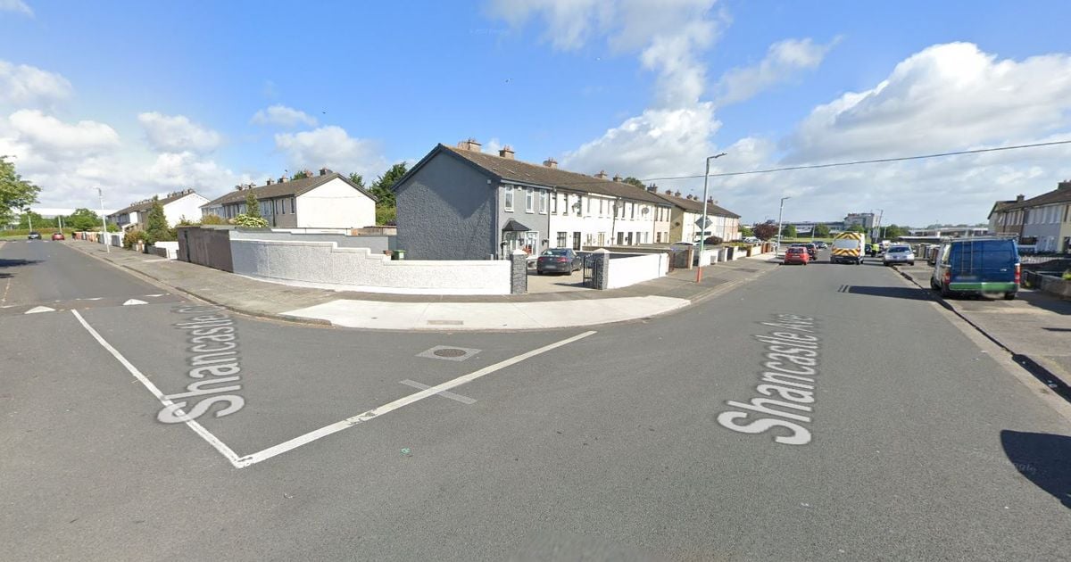 Man, 20s, injured after firearm discharged in Dublin