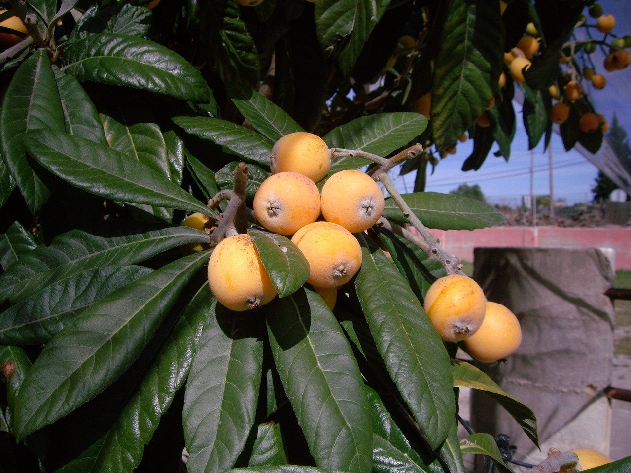 A time for feeding and pruning