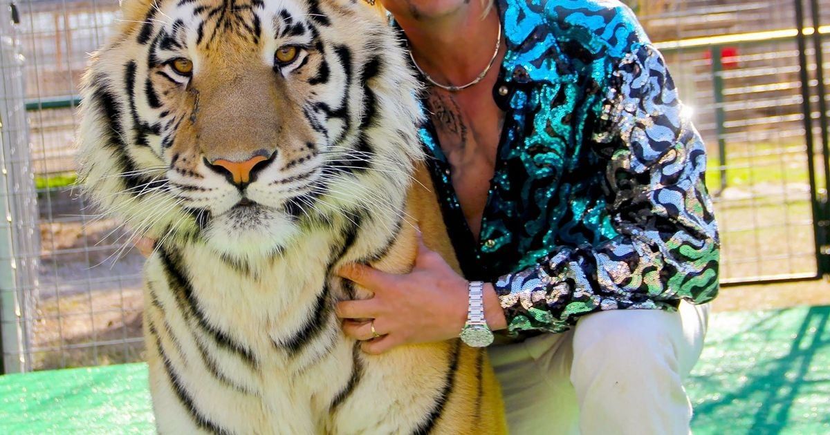 Joe Exotic makes plea to Donald Trump as he faces bleak Christmas in prison