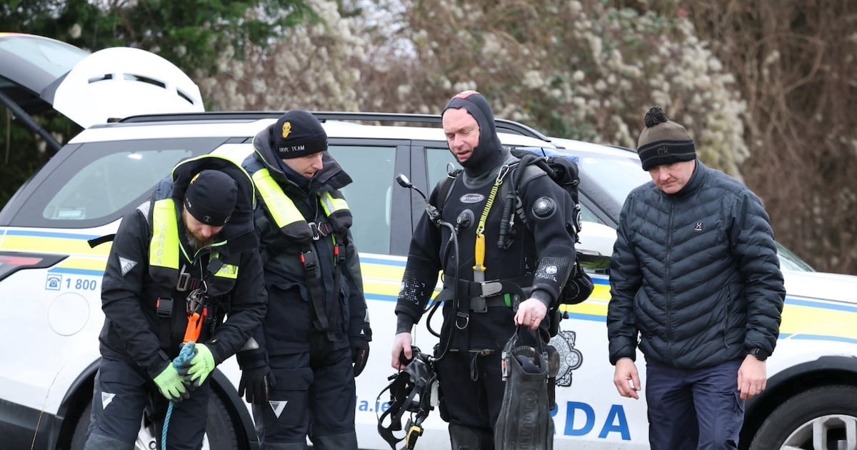 Delivery driver (40s) dies after car enters water at Grand Canal in Kildare