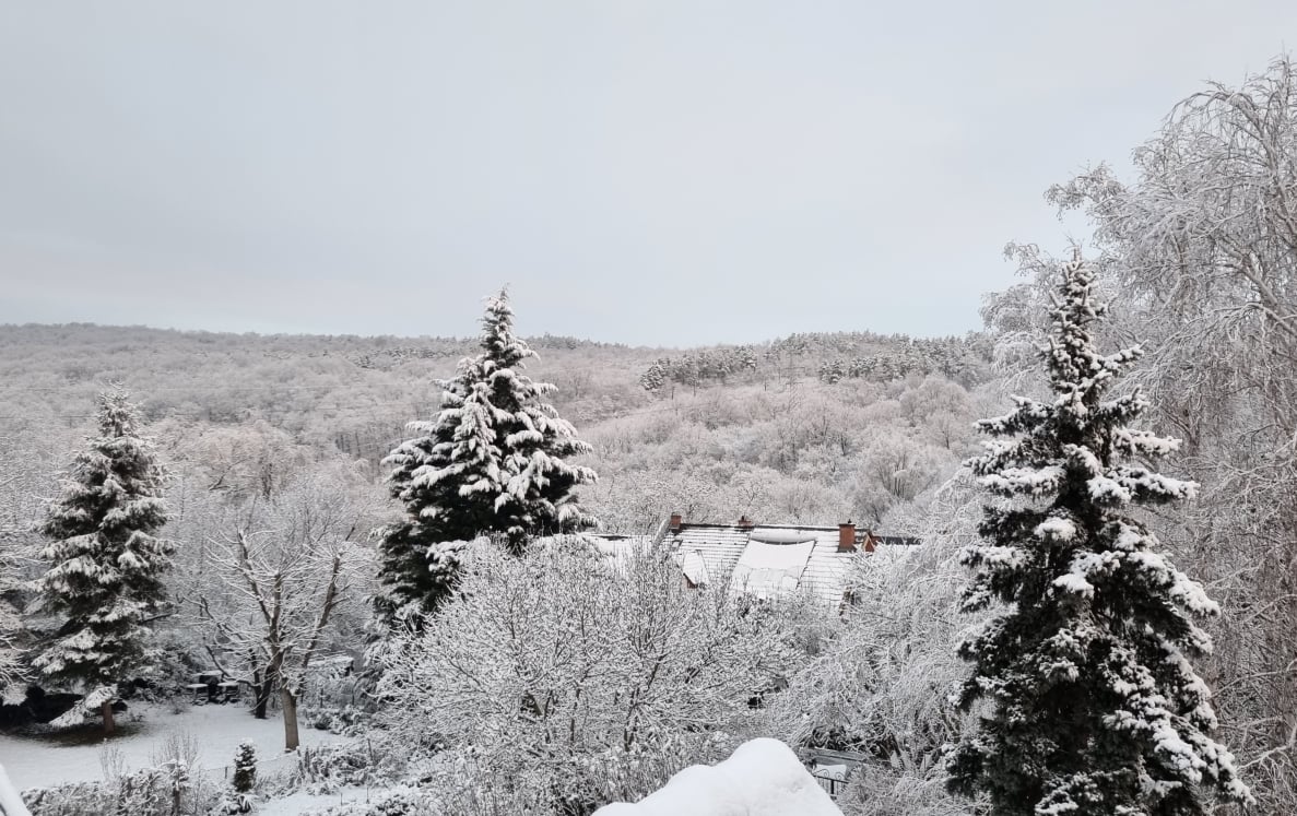 Preparing for White Christmas with Snowfall and Frosty Winds