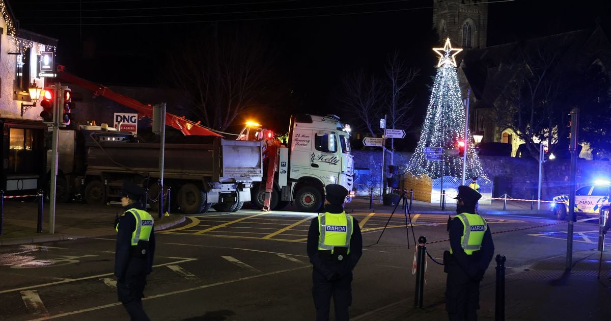 'Beloved husband' of Dublin Councillor killed in horror Christmas crash