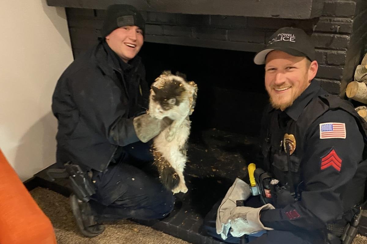 Trapped cat rescued from inside chimney in Wyoming