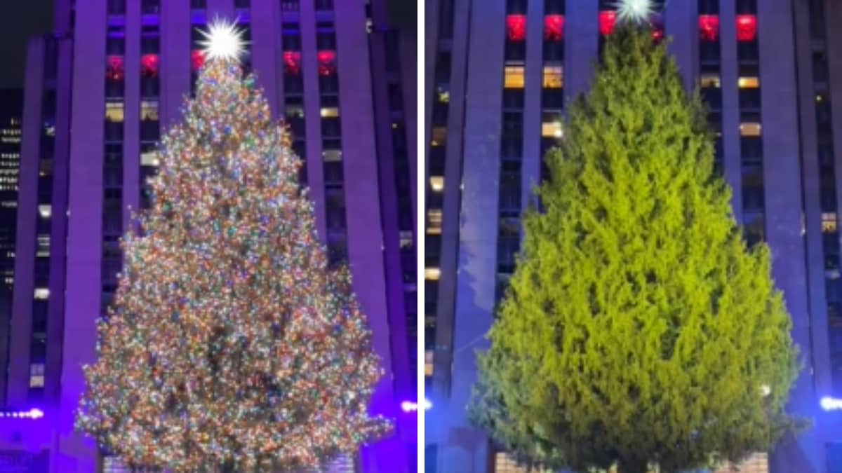 Who Started The Christmas Tree Tradition? History, Symbolism, Trivia Explained