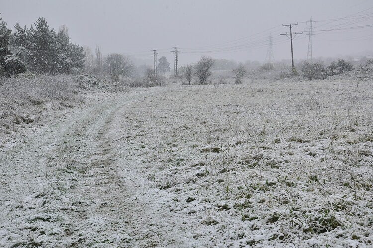 Snowfall Causes Power Outages, Road Closures in Lovech Region