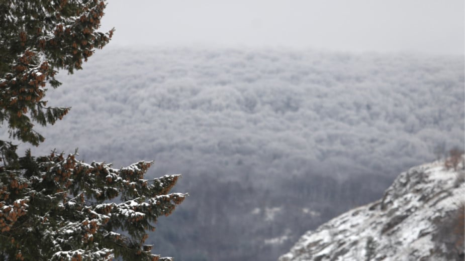 Yellow, brown alert code for rain, snow declared for 16 regions in Bulgaria for Thursday