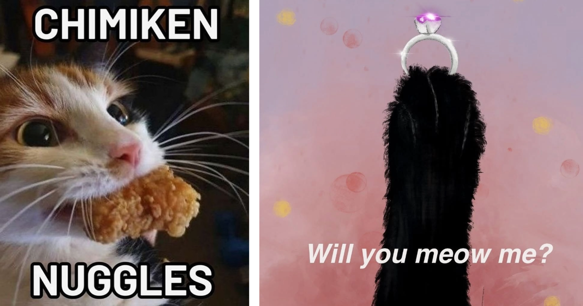 A Cat Child Christmas Collection: 23 Feline Funnies for the Whole Family