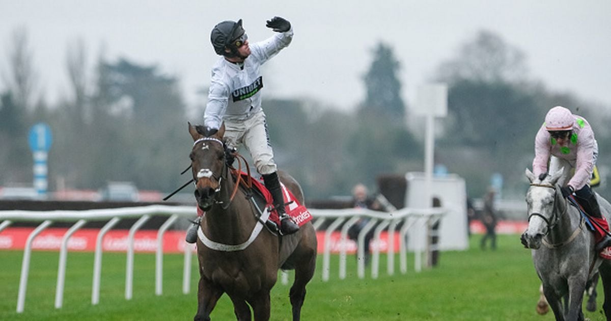 Nicky Henderson's expressions sum it up as Constitution Hill wins Christmas Hurdle