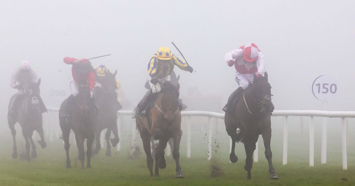 Heavy fog causes delay and threatens abandonment of racing at Leopardstown