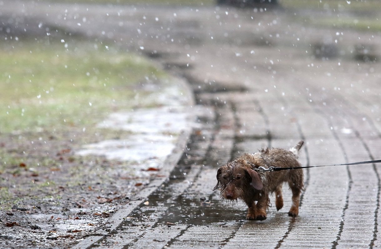 Grayish wettish weather to continue until new year in Latvia