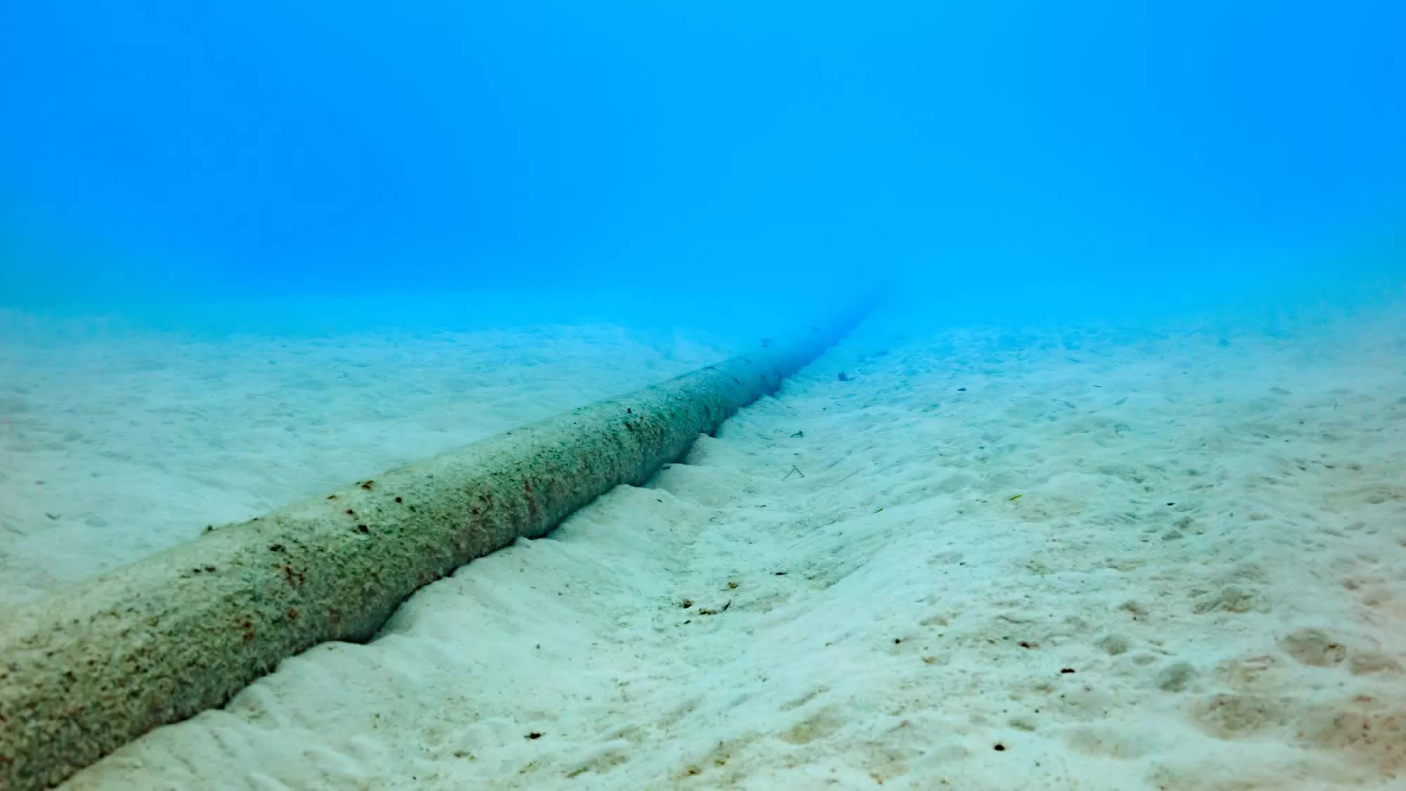 Undersea cable disruption in Baltic Sea investigated for possible sabotage