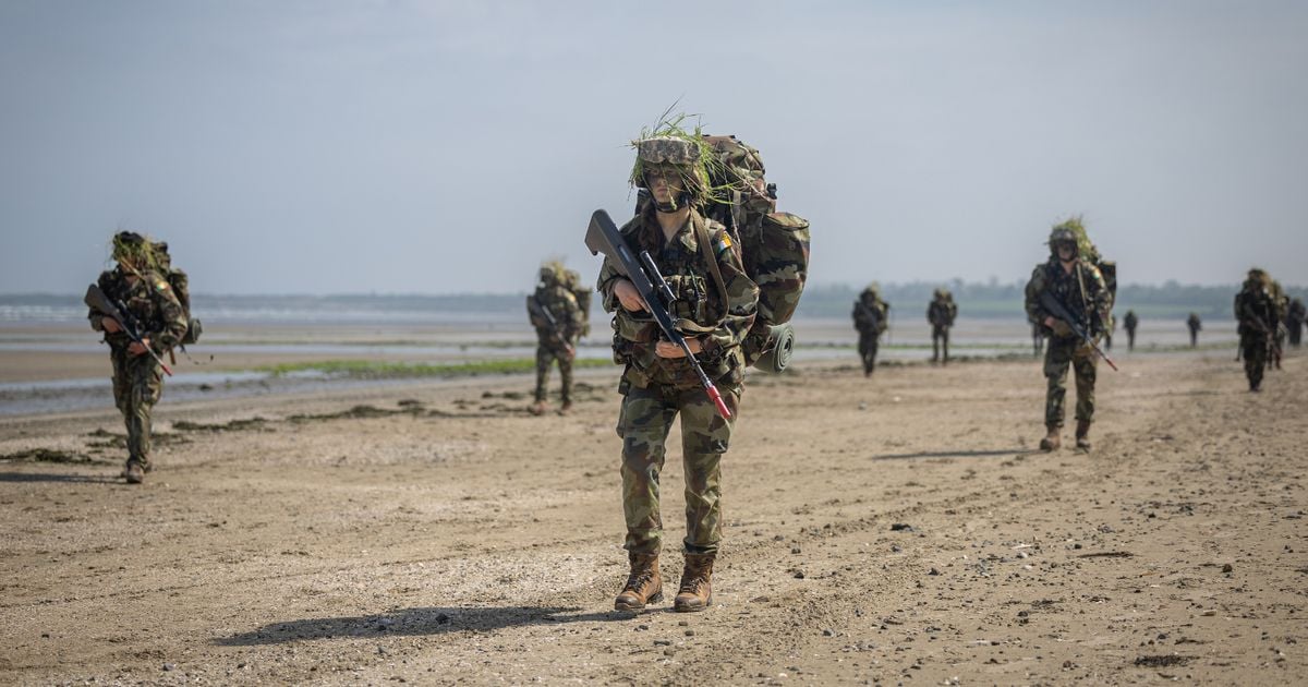 In pictures: Irish soldiers carried out 900 tours of duty this year including in world's most dangerous warzones 