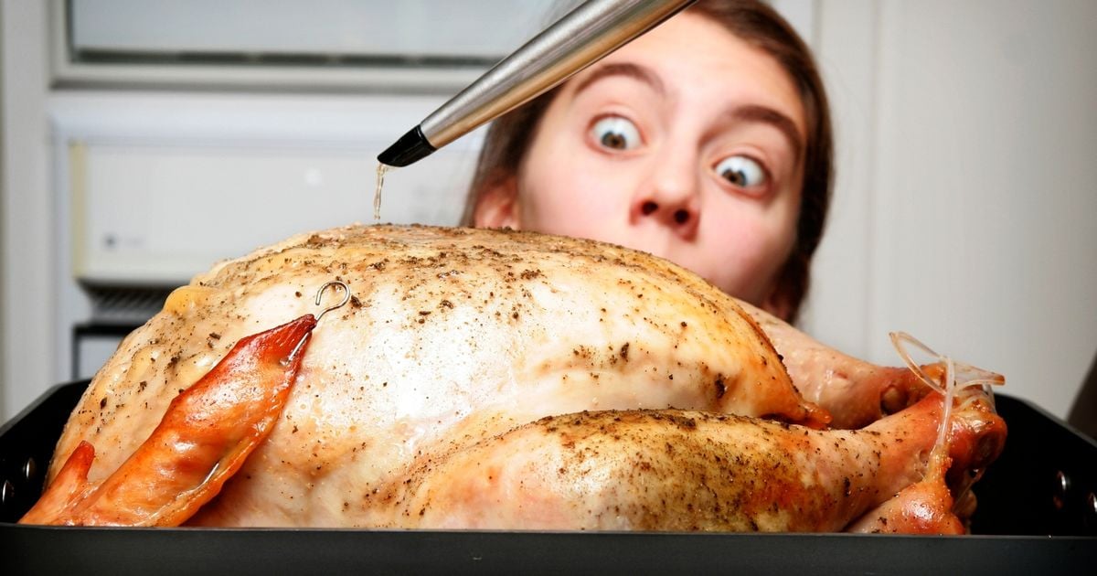 Christmas ruined for Plymouth families as turkeys go bad with 'green spots'