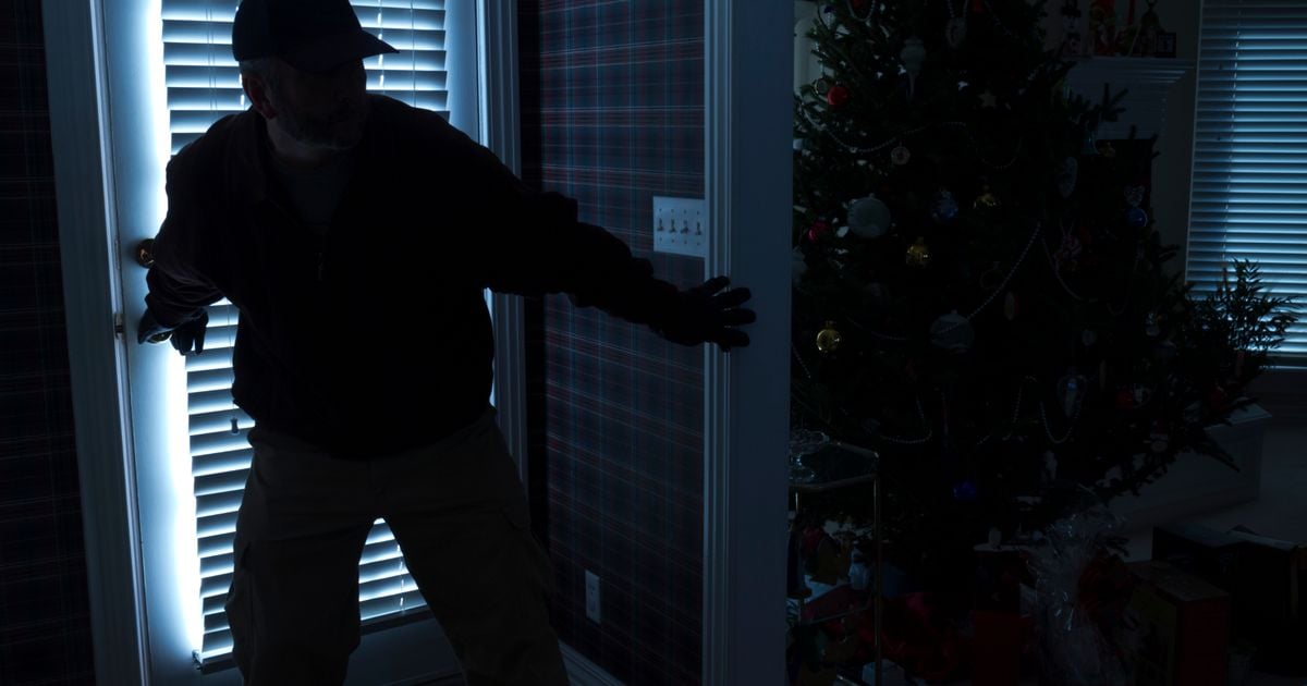 'The night before Santa was due, burglars invaded our safe space like human cockroaches'