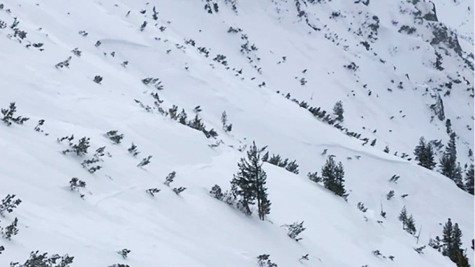 Avalanche warning in the mountains