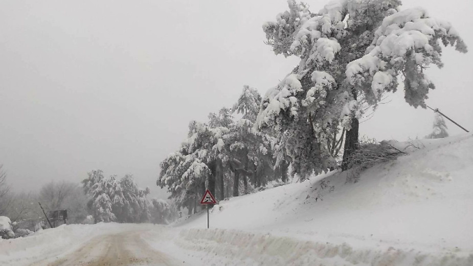 Snowy and windy Friday