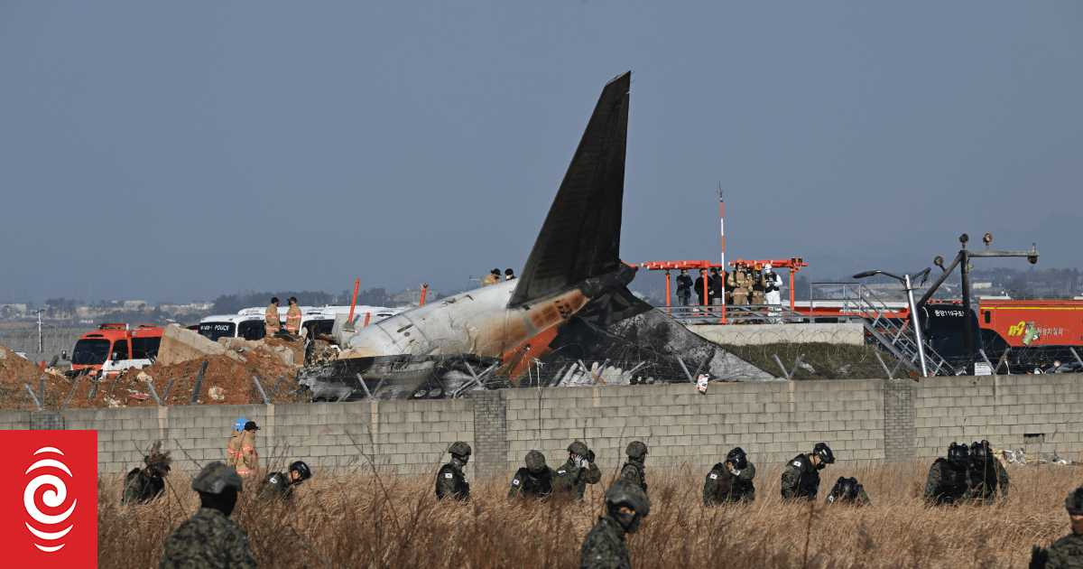 174 dead after South Korean airliner crashes, explodes in fireball