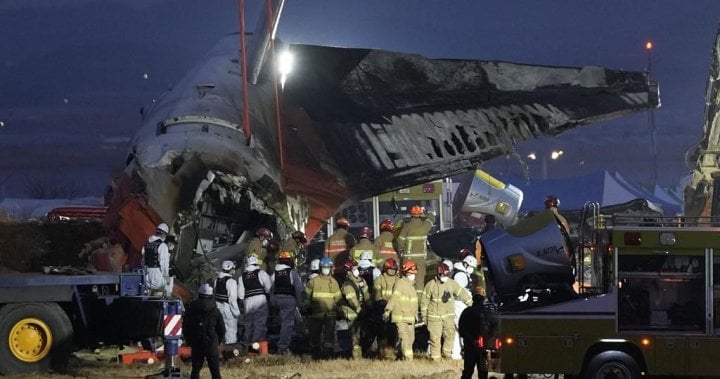 Plane crashes while landing in South Korea, killing 179 people - National