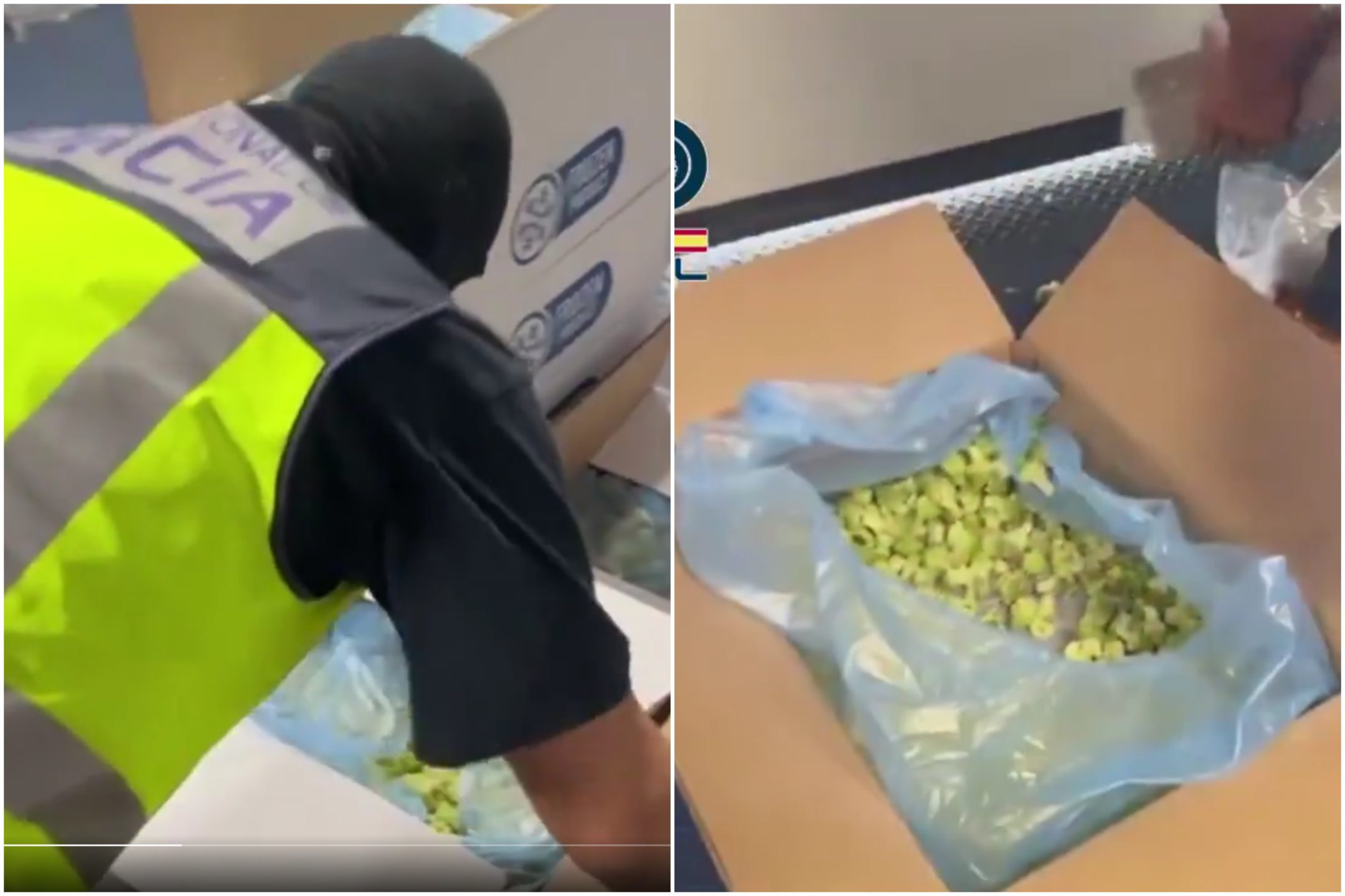 Watch: Nine Brits arrested for trying to smuggle cocaine from Spain by hiding it in frozen broccoli