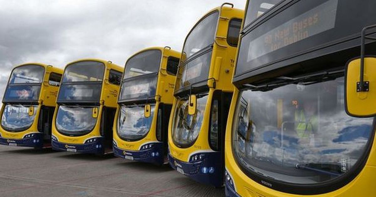 Dublin Bus 'actively investigating' footage appearing to show child being struck by man in hi-vis vest