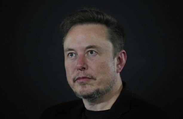 German government accuses Elon Musk of 'exerting influence' on parliamentary elections