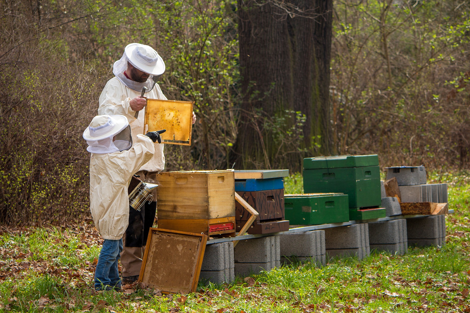 Award-winning Hungarian Development Helps Beekeepers