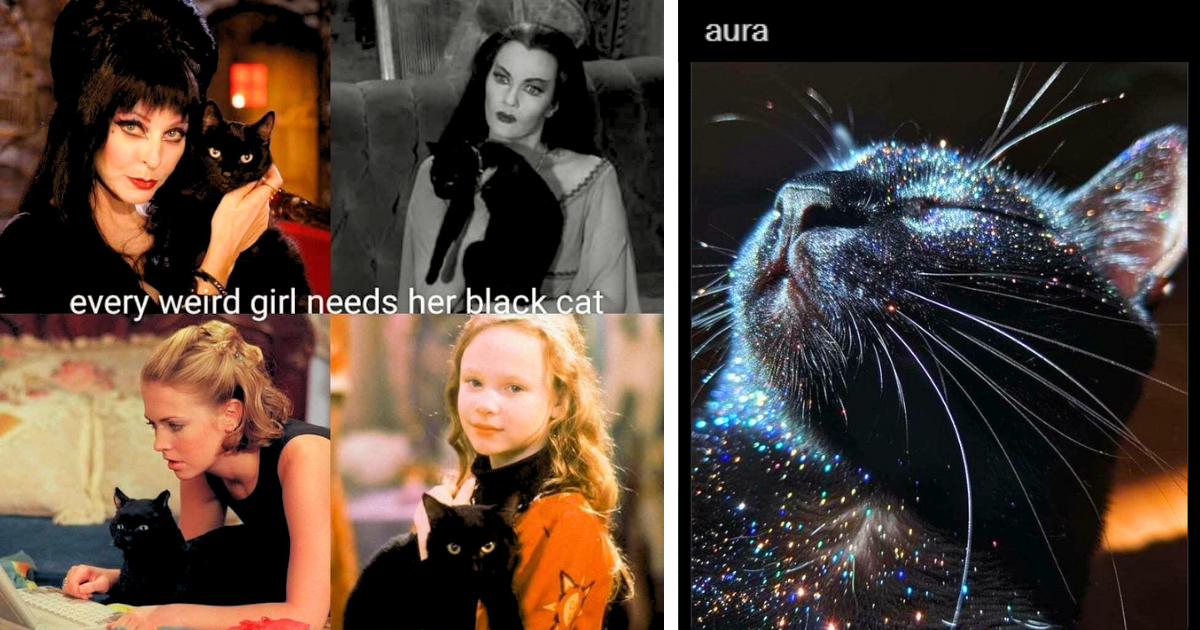 23 Blissful Black Cat Memes Giving Good Luck For the Furbulous Feline Eve of Meow Year's