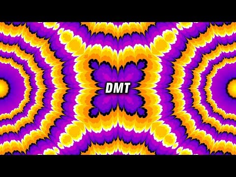 ENTER The Present Moment of NOW with this PINEAL GLAND DMT Activator