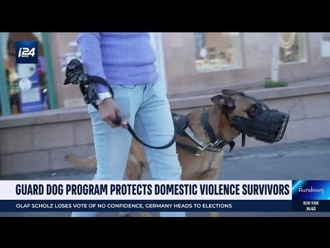 Guard dog program protects domestic violence survivors