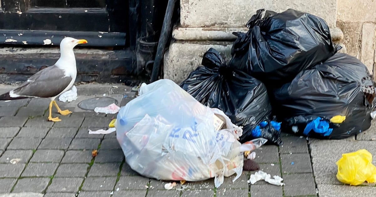 Dublin bin bag ban comes into force in south inner city