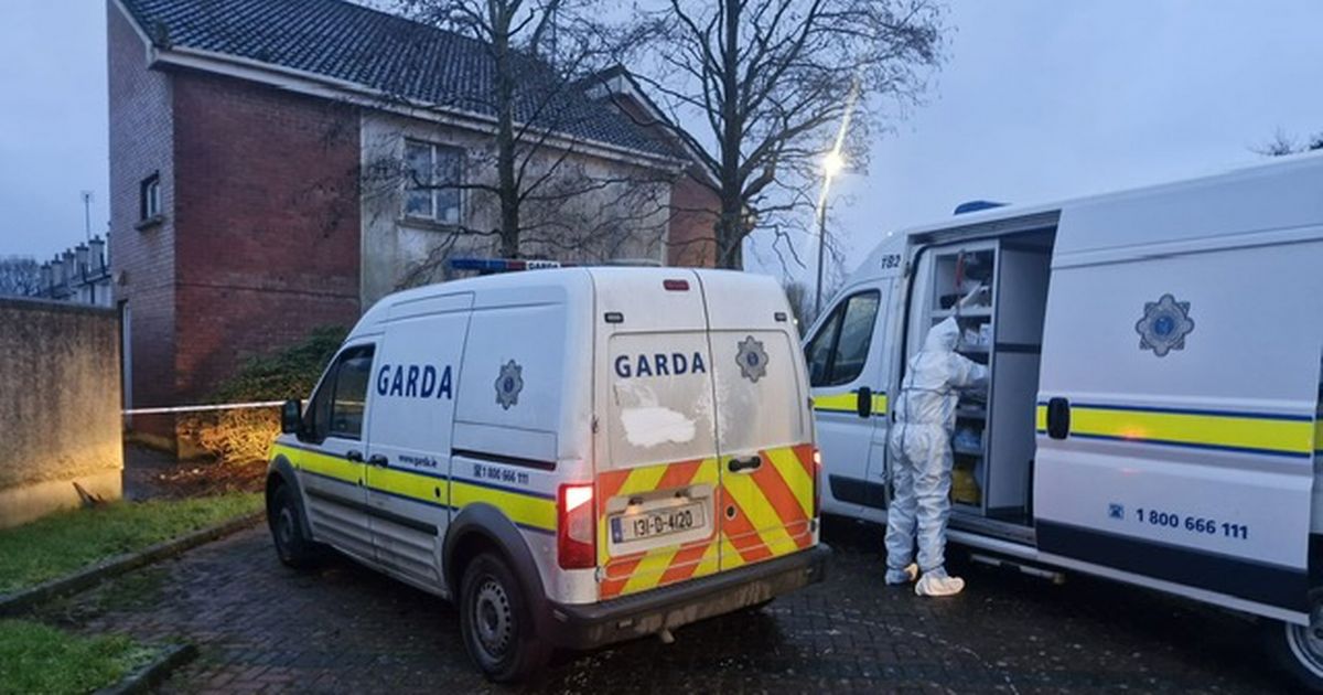 Convicted criminal quizzed over man's death in Wexford