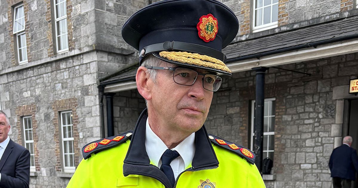 Number of Gardai suspended fell by over 50 per cent in 2024