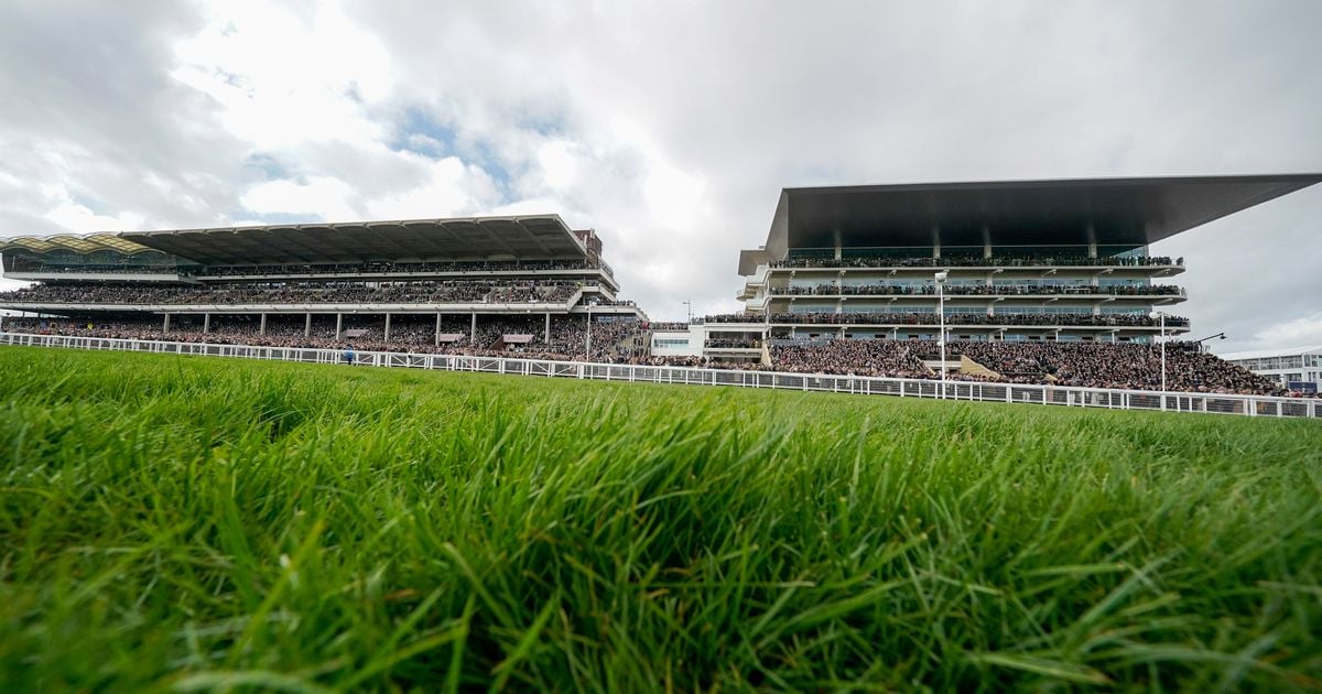 New Year's Day racing goes ahead at Cheltenham and Tramore following inspections