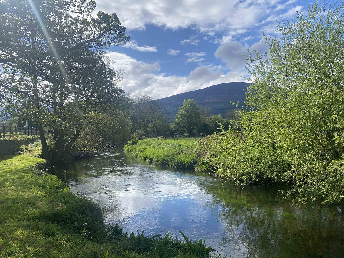 Clogheen hosts Nollaig na mBan walk for cancer charity