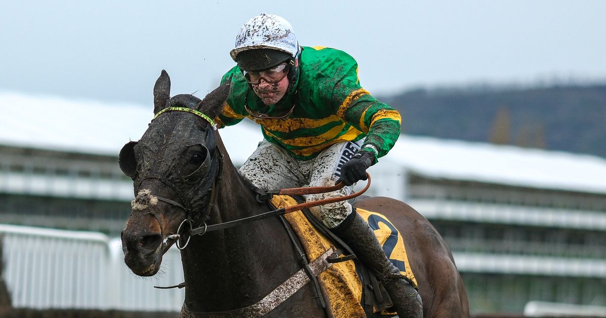 JP McManus-owned horse stuns trainer with New Year's Day performance