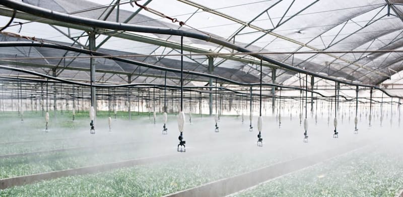 Adam Partners to buy Israeli drip irrigation co Metzerplas