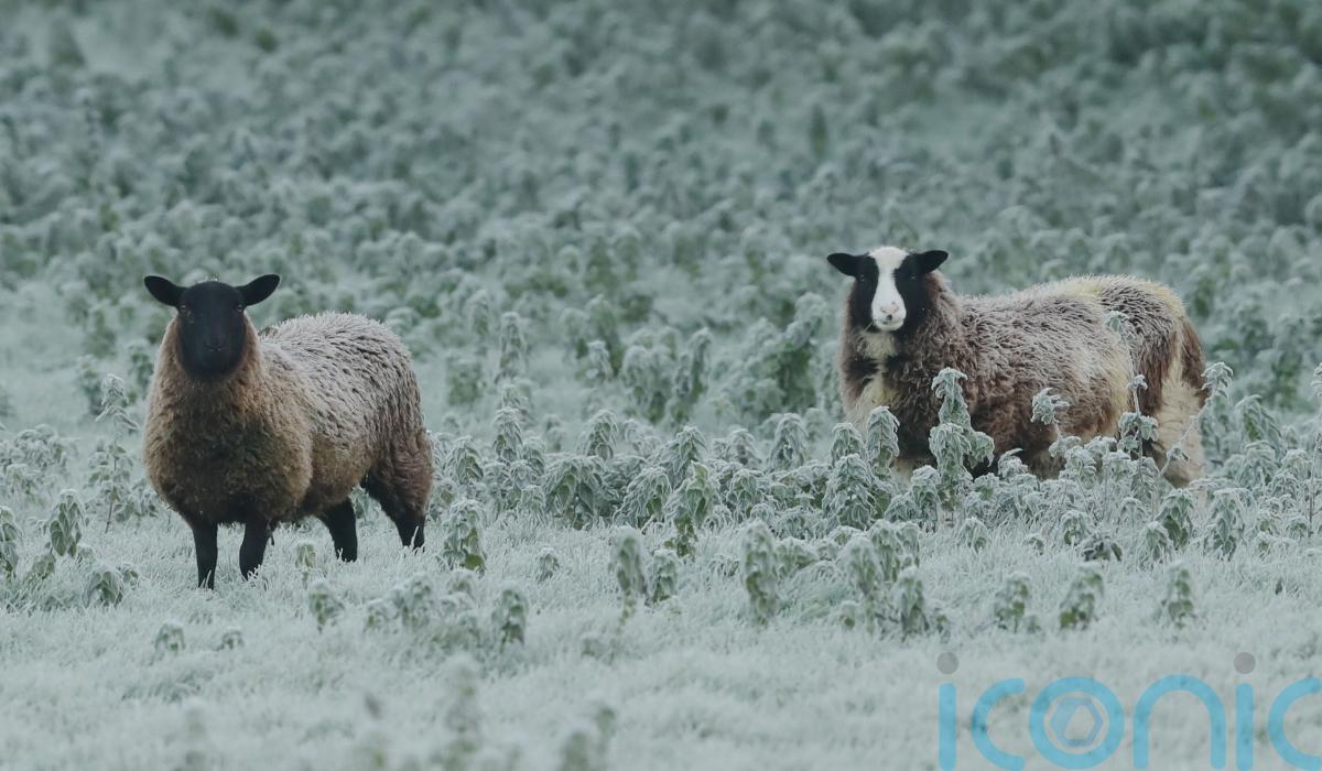 Warning issued with temperatures set to drop to minus three overnight