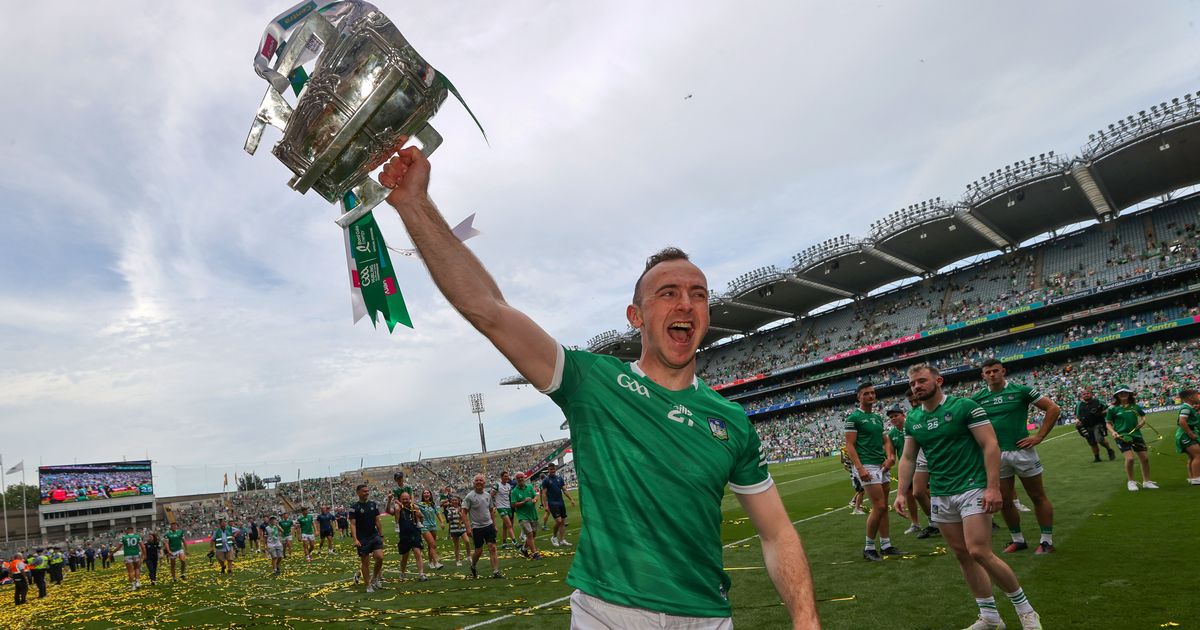 Limerick hurling star Richie English explains reason for his retirement