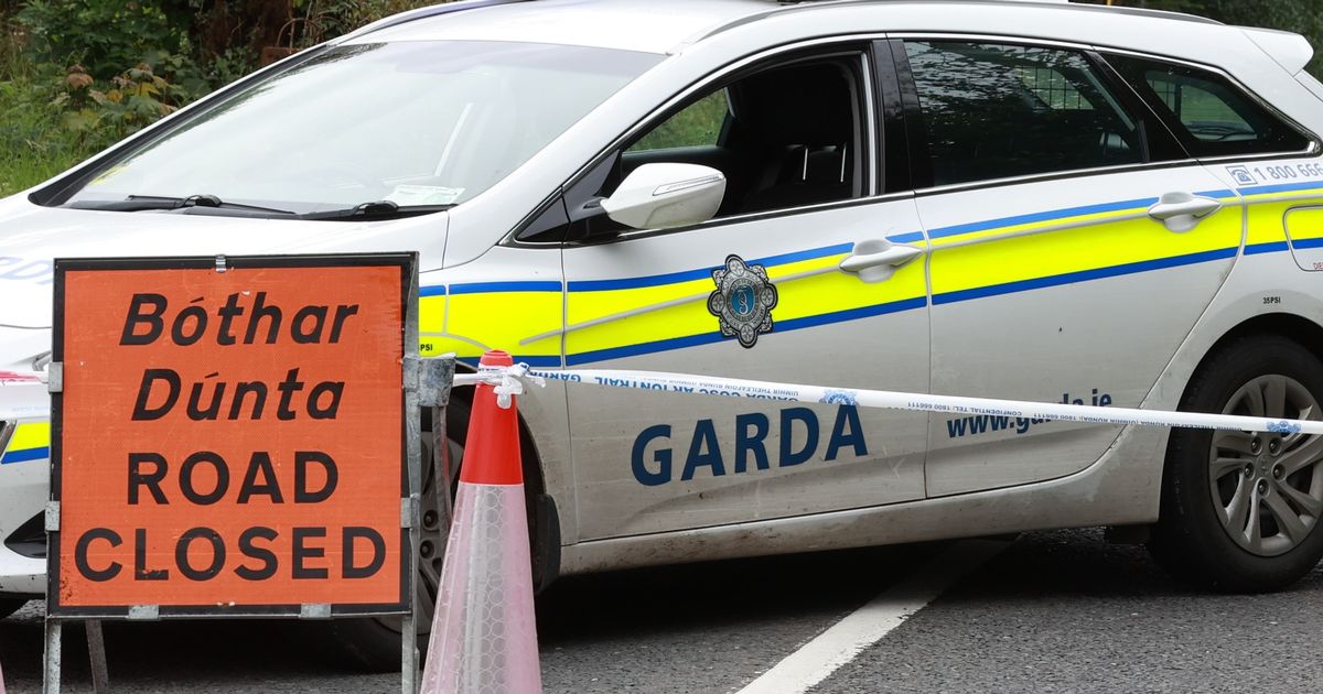 Man, 60s, dies after jeep crashes into electricity pole in Dublin as gardai close road