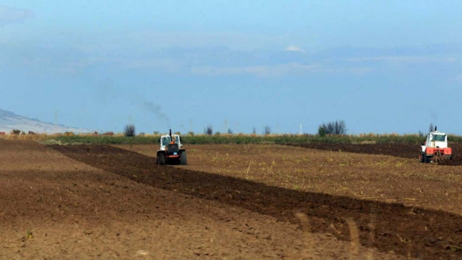 Price of agricultural land in Bulgaria going down amidst instability