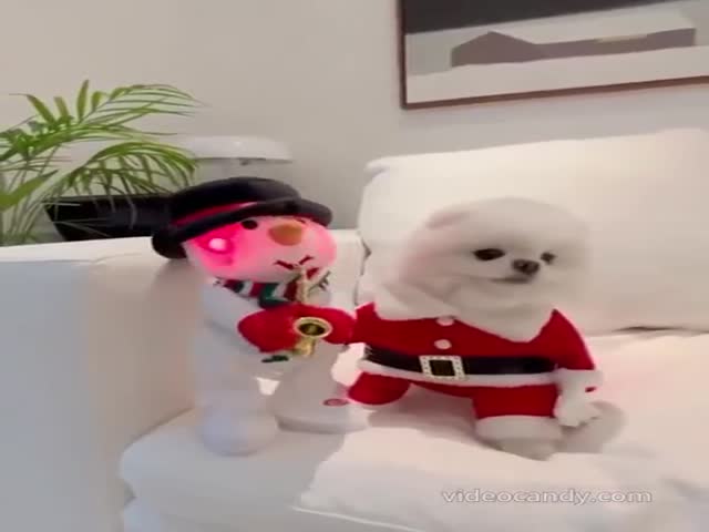 The Best Santa (VIDEO)