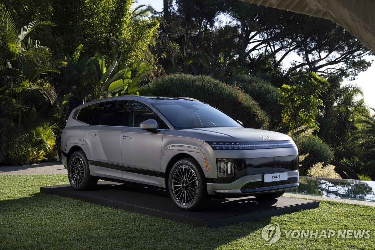 Hyundai Motor's 2024 sales down 1.8 pct as domestic demand wanes