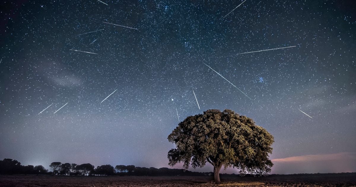 Quadrantids meteor shower: How to catch first dazzling celestial display of 2025 in Ireland