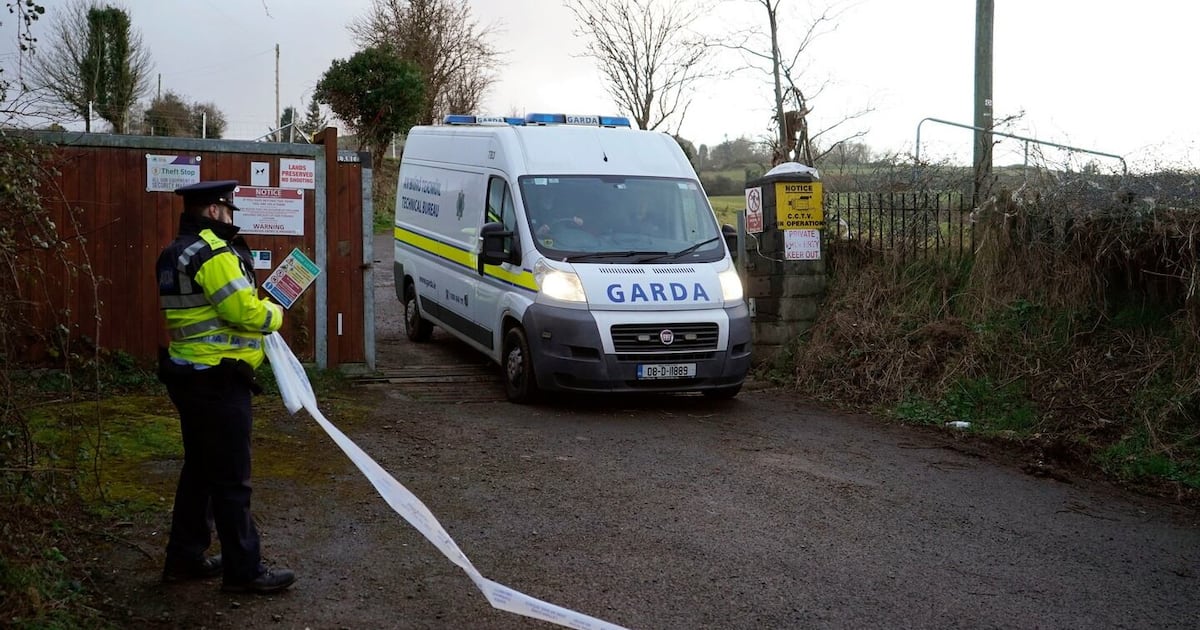 Death at Hazelgrove Farm: How law professor Diarmuid Phelan was acquitted of the murder of a trespasser