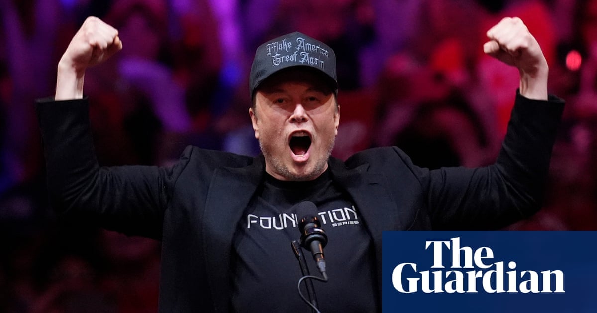 Berlin accuses Elon Musk of trying to influence German election