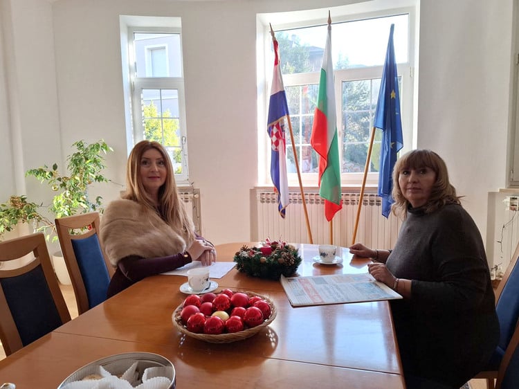 Bulgarian Ambassador to Croatia: OECD Accession Is Strategic Foreign Policy Priority of Bulgaria and Croatia