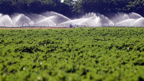 Government mulls strategy to modernize Bulgaria's irrigation systems