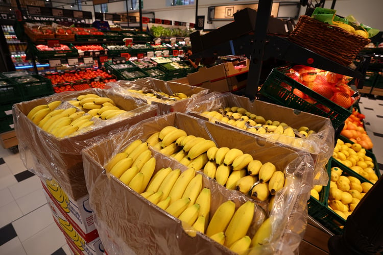 Fruit Prices Down, Dairy Prices Up in Past Week